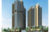 Coteccons trúng 4 gói thầu trị giá 169 tỷ đồng 