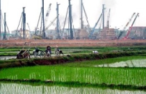 Đầu tư bất động sản sẽ “mệt” với nghị định về quản lý đất lúa? 