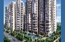 Dự án CT1 Ngô Thị Nhậm đã được bán xong cho khách hàng 