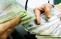 Giải mã cơn sốt giá USD 