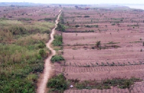 Rà soát các trường hợp chuyển nhượng, sử dụng đất nông nghiệp 