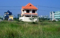 Sẽ đấu giá đất lúa khi chuyển thành đất ở 