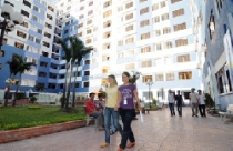 Sơ kết các dự án nhà ở cho sinh viên theo hình thức trực tuyến 