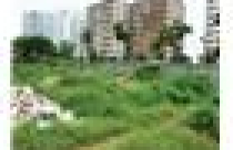 Tham nhũng trong đất đai: Quan xã dẫn đầu 