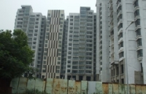 Dự án Chelsea Park: 5 năm chưa giao nhà 