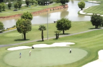 TP HCM: Hàng trăm ha đất bỏ hoang 