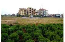 Tây Hà Nội: Đất vô chủ, "đất trỏ" cũng vào cuộc hét giá