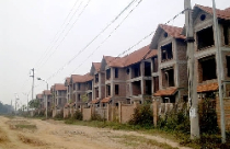 Bất động sản 2010: 'Chóng mặt' và 'toát mồ hôi' 