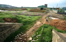 Bất động sản Hà Nội: Có bị “thổi” giá? 