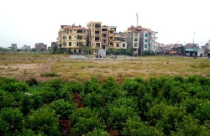 Biến đất thành vàng sao cho hợp lý? 