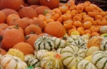 CPI năm 2010 tại Hà Nội tăng 9,56% 