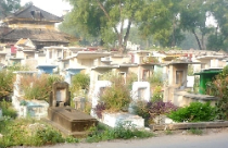 Di dời nghĩa trang lớn nhất TP HCM để xây khu dân cư 