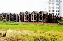 Hà Nội: Cấm chuyển đổi mục đích sử dụng đất trồng lúa 