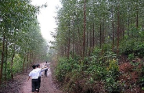 Khi InnovGreen xin trả lại đất “nhạy cảm” 