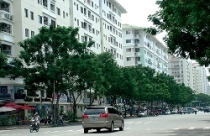 Khung giá đất Bình Dương 2011 cao nhất 23,4 triệu đồng/m2 