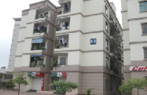 Khuyến khích xây dựng nhà ở xã hội 