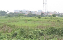 Dự trữ cho “ngân hàng đất” 