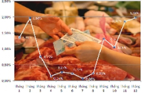Lạm phát năm 2010 là 11,75% 