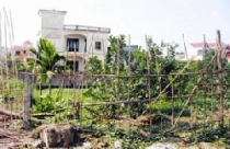 Ráo riết săn lùng đất hiếm, đất xen kẹt kiếm lợi