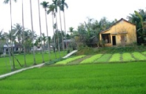 Ban hành quy định thu tiền thuê đất, thuê mặt nước