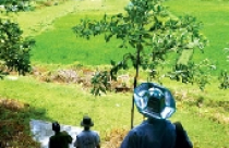 Mốt chơi điền trang của giới trung lưu Hà Nội 