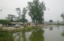 Thu hồi hơn 5.000 m2 đất, “đền” 2 triệu đồng 