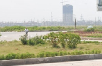 Đất nền: Điểm “trú chân” ưa thích