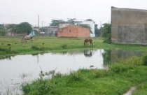 Điều chỉnh quy hoạch 1/2000 khu dân cư phường 14, 15 quận 4