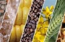 Đưa thép lên "Sàn"