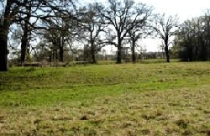 Hà Nội: Sẽ có “cơn sốt” giá đất trong năm 2011? 