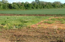 Nên công nhận quyền sở hữu tư nhân đối với đất đai