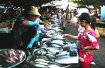 Chỉ số giá tiêu dùng tháng 1 bất ngờ giảm tốc 