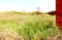 Dự án kinh doanh bất động sản chậm triển khai: Vì sao khó thu hồi? 