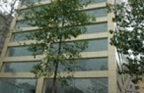 Giá văn phòng cho thuê dự báo tiếp tục giảm 