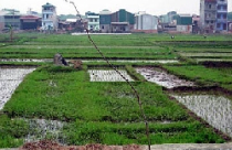 Năm 2011: Thanh tra trên diện rộng về lĩnh vực đất đai 