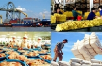 Xuất khẩu 2011: Đòn bẩy từ chất lượng 