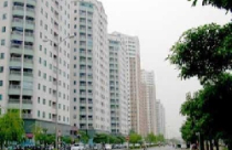 2011 là năm “vượng” của thị trường BĐS 