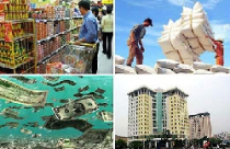 Kinh tế Việt Nam năm 2011