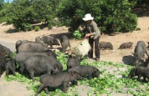 ND TP.Vũng Tàu bị thu hồi đất: Lo lắng chuyển nghề 