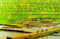 Tiếp tục thực hiện hiệu quả Nghị định 69/NĐ-CP về đất đai 