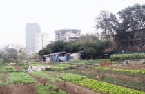 Chuyển đổi đất xen kẹt thành đất ở: Vì sao chưa chuyển đổi được mét vuông nào?