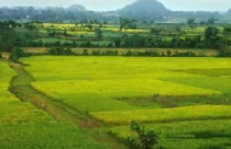 Phải lập xong Tổ chức phát triển quỹ đất trước tháng 6/2011 