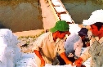 Tăng tỉ giá để giảm nhập siêu, giảm bội chi ngân sách 