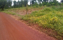 Đồng Nai:  Bức xúc vì chỉ thị của Bộ Tài nguyên Môi trường 