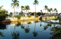 "Chúa đảo" Tuần Châu nói về kinh tế tri thức