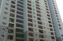 Ban quản lý CT2 Văn Khê “hứa” giải quyết bức xúc của dân 