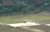 Có chia lại ruộng đất vào năm 2013? 