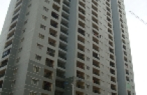 Khu CT2 Văn Khê: Sống chung với rác, tiền điện giá cao 