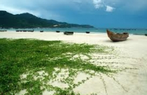 Điều chỉnh lần 3 quy hoạch chi tiết khu du lịch biển Mỹ Khê 