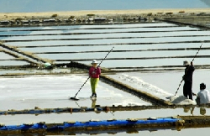 Luật đất đai cõng 200 văn bản chồng, chỏi nhau 